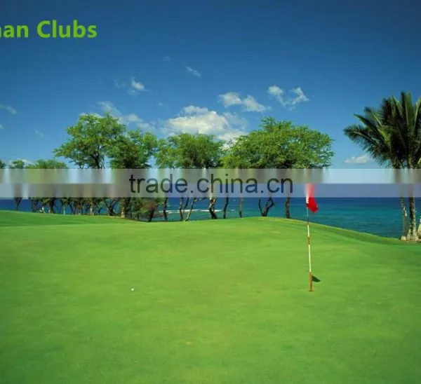 Wholesale Golf Shoes Waterproof Womens Golf Shoes Custom Designed for Golf for Promotion photo-6