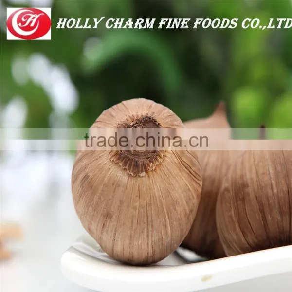 Healthy Product Natural Fermented Solo Black Garlic Seeds photo-6