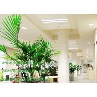 Square LED Panel Downlight, Super Slim SMD Down Light, 2835SMD 18W Ceiling Lights, Ultra Thin Interior Panel Lighting photo-3