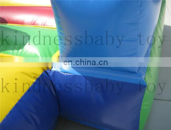 Promotion Inflatable Ocean Slide, Dolphin Slide With Ocean Theme for Kids, Amuse Slide for Funny Party photo-6