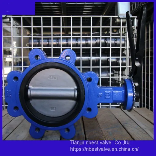 JIS5K Soft Seat Lug Butterlfy Valve DN80 Manufactured photo-5