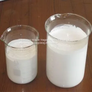 LR-6311S Transparent Sealing Primer Emulsion