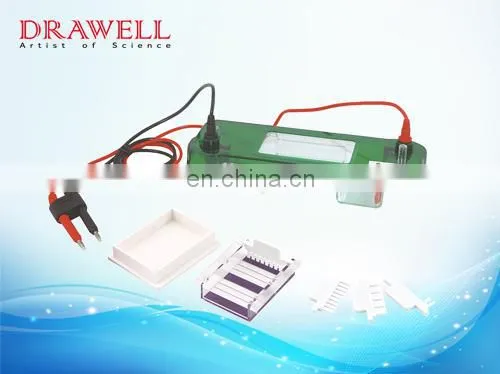 SPAT Gel Analysis Electrophoresis Tank Horizontal Electrophoresis photo-3
