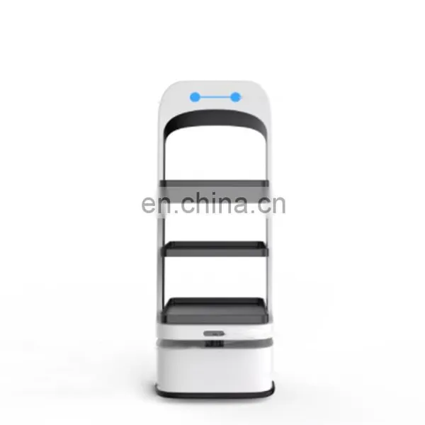 Humanoid Food Delivery Robot AES2 Talking Food Delivery Robot for Shenzhen Robot in Hotel Restaurant