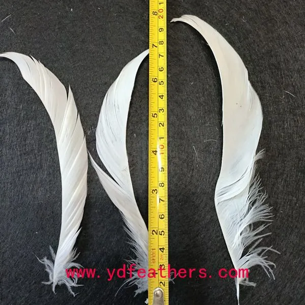 Stripped Soft Goose Feather For Wholesale From China