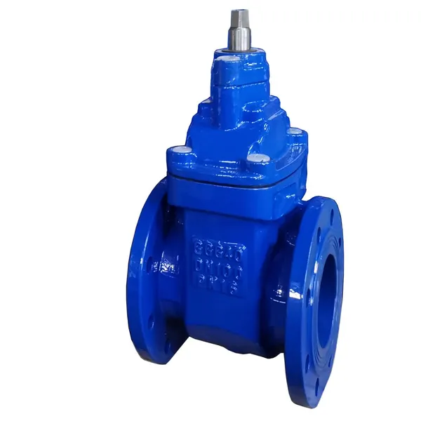 DIN Gate Valve DN50 DN100 DN65 DN150 Industrial Gate Valve Stainless Steel Cast Steel Gate Valve PN16 PN64 Flanged Gate Valve photo-3