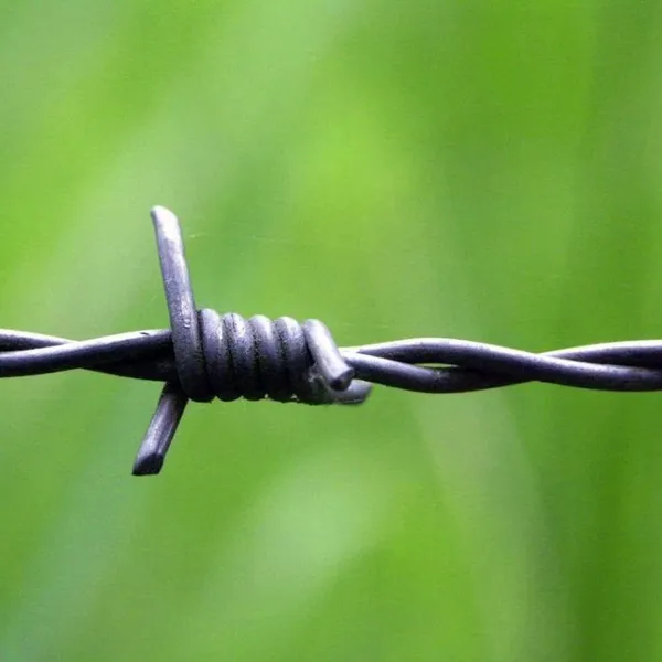 Factory Direct Supply of Reverse Twist Barbed Wire Mesh for Industrial Use photo-5