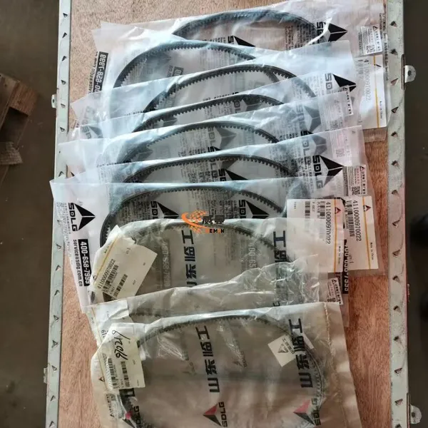 SDLG Original 4110000970219 Courroie en V 0,1 kg pour machine à bon prix en stock