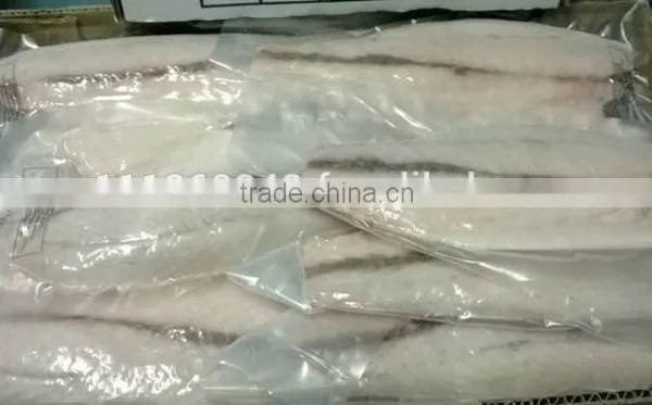 Frozen Barramundi Fillet photo-4