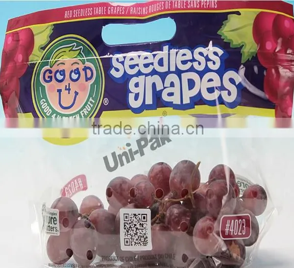 Custom Plastic Laminated Bag Fruit Bag photo-5