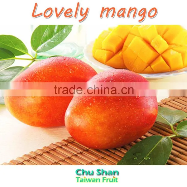 Hot Sale Fresh Mango (Grade AAA) photo-6