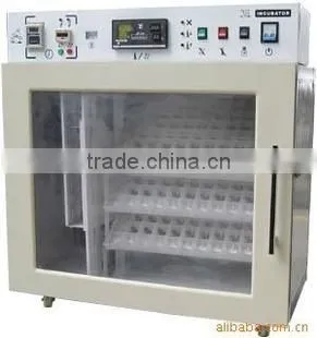 pigeon egg hatching machine