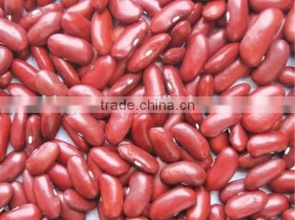 China English Red Kidney Beans for Sale photo-2
