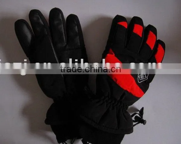 Ski Gloves