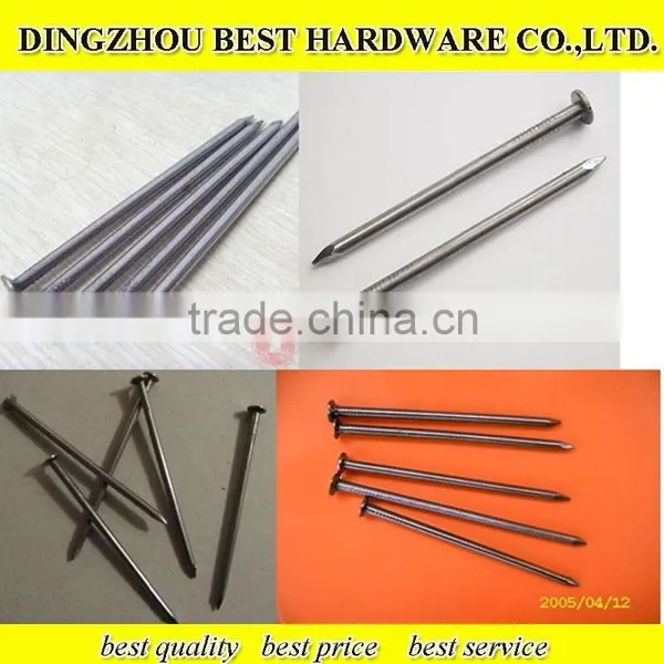 Polished Common Iron Nail photo-2
