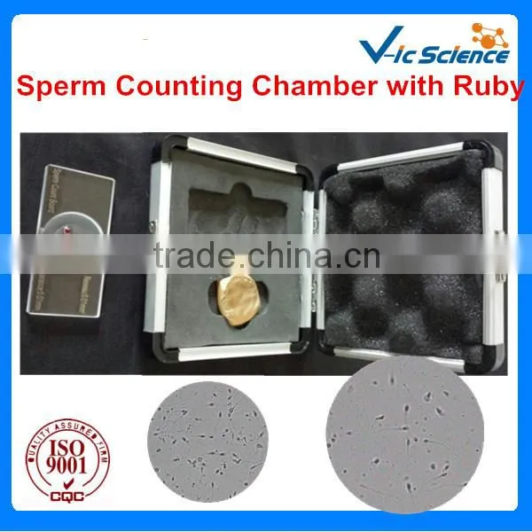 Sperm Quality Inspection Sperm Counting Chamber With Ruby