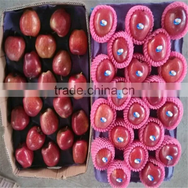 2014 Red Delicious Apple Chinese Huaniu Apple