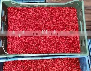 Frozen Lingonberry Asian Fruits Best Frozen Fruit photo-2