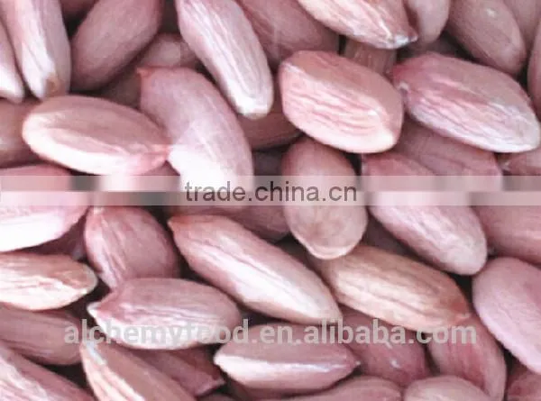 Supplier of Peanuts Kernel and Peanuts Kernel Buyer From All Over the World photo-3