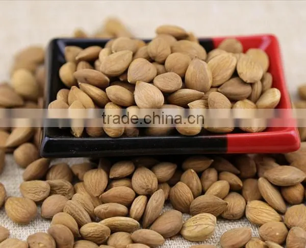 Wholesale Price of Organic Almond Nuts photo-2