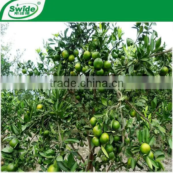 Customized Good Prices Dried Seaweed Fertilizer photo-2