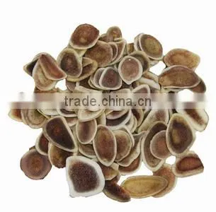 Factory Price Double Cone Rotary Vacuum Dryer for Drying Food Powder photo-4