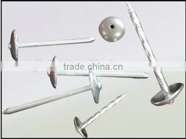 Good Performance Umbrella Head Roofing Nails Making Machine From China photo-5