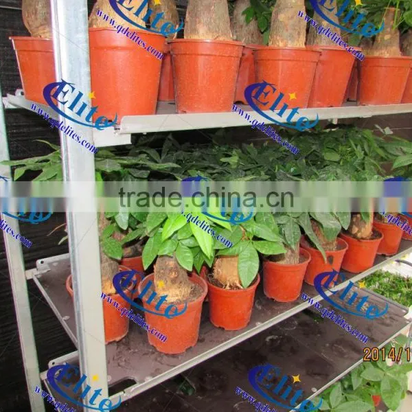 651 Shelf for the Flower and Pot Plant Trolley photo-5