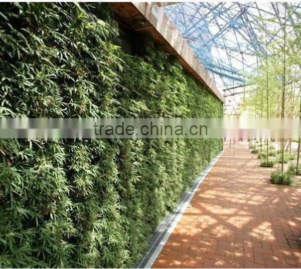 Wall Greening Flowerpot Vertical Garden Planters Supplier in China photo-3