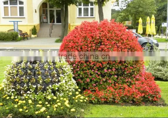 Big Outdoor Tall Plastic Decorative Flower Pots photo-2