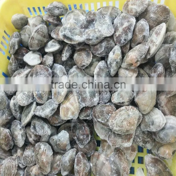 Frozen Boiled Baby Clam No Sand No Shell Pieces photo-3