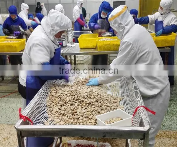 Wild Caught Frozen Baby Clam Half Shell photo-3