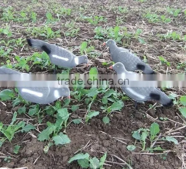 PIGEON DECOY BIRD PAINTED SHELL HIGH QUALITY photo-3
