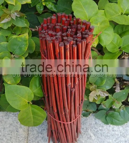 Dyed Green Bamboo Sticks for Garden&agriculture photo-6