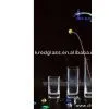 Clear Glass Vase