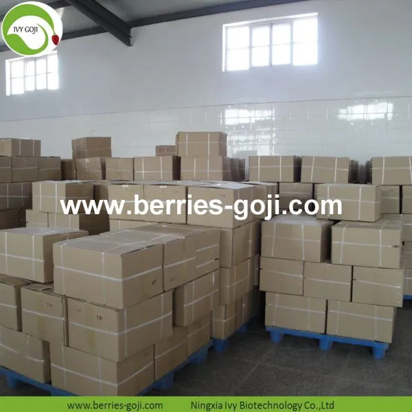 Factory Supply Nutrition Dried Lycium Berry photo-5