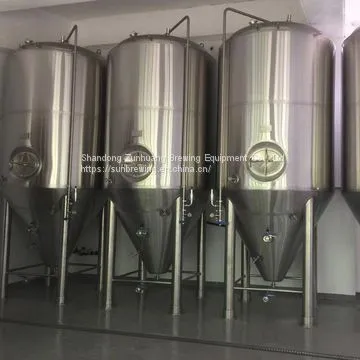 300L Beer Brewing System for Micro Brewery Brewing Equipment Manufacturer in China photo-4