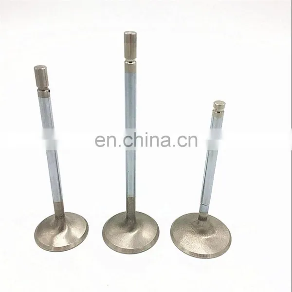 OEM Quality Bajaj Boxer Ct100 Bajaj Chetak India Bajaj Pulsar Spare Parts Intake Exhaust Engine Valve photo-4