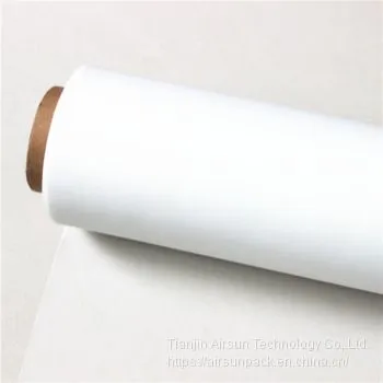 Plastic & Packaging Printing Screen PET Nylon Silk Screen Printing Mesh 36t-165t 80-420mesh Plain T-shirt Printing photo-4