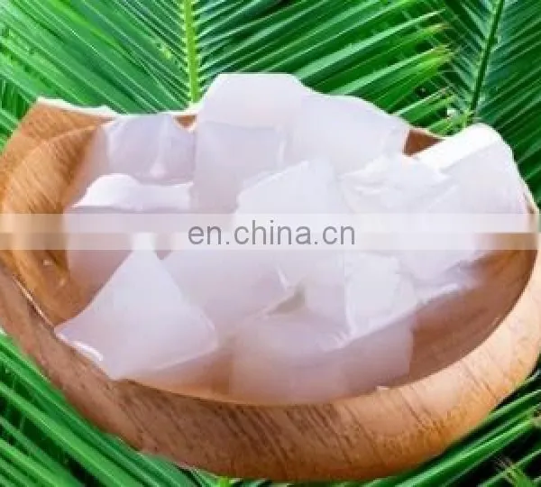 Raw Nata de Coco/ Coconut Jelly in Syrup for Pudding From Vietnam photo-3