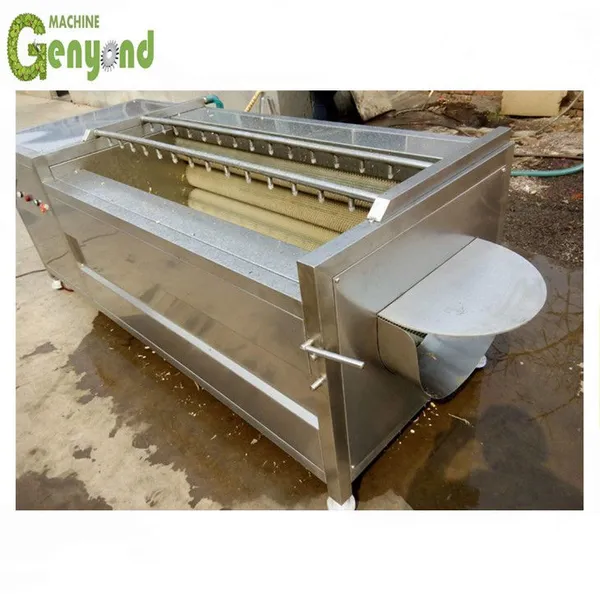 Popular Brush Roller Washing Peeling Machine for Potato/Sweet Potato/Carrot/Taro/Kiwi Fruit photo-6