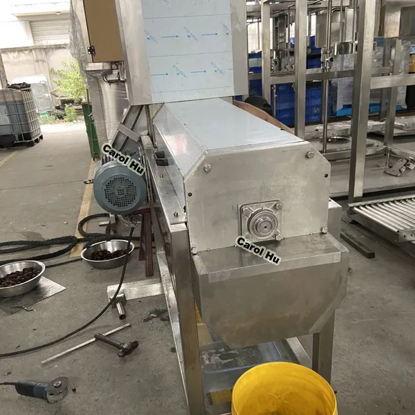 GYCH Small 500kg Longan Lychee Litchi Peeling Juicer Machine photo-4