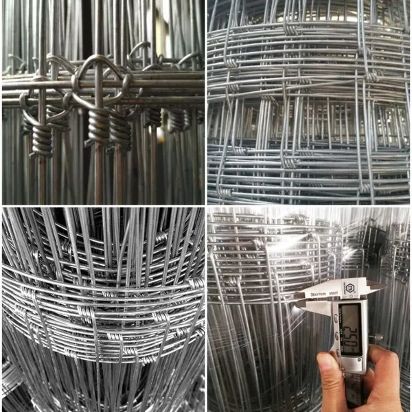 Hot-Dip Galvanized Cattle Fence for Outdoor Animal Containment photo-3