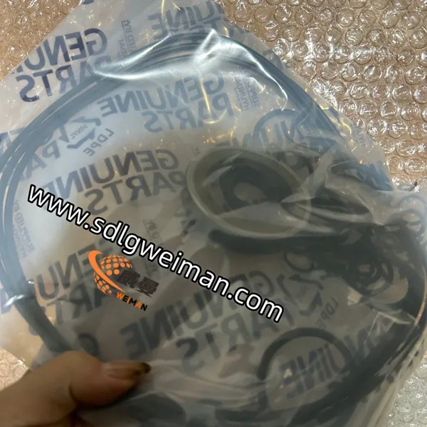 Original Hyundai 39Q6-11700 SEAL KIT SWING MOTOR