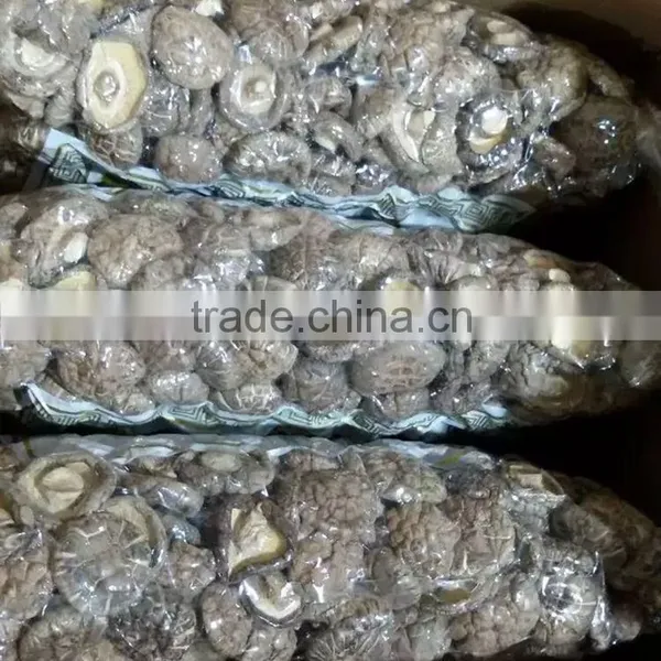White Flower Dry Mushroom With FDA photo-4
