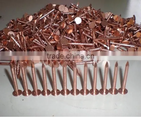 High Quality Copper Nails in China photo-2