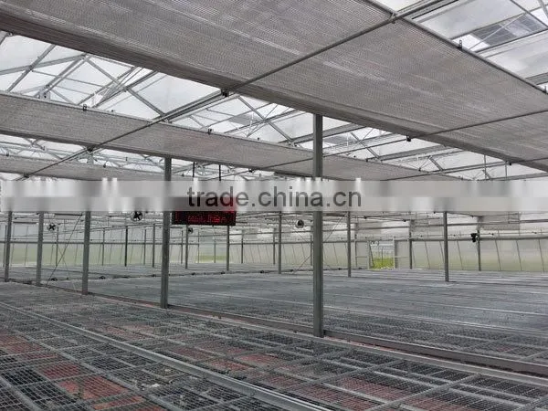 200Micro Agricultural Greenhouses for Tomato photo-2