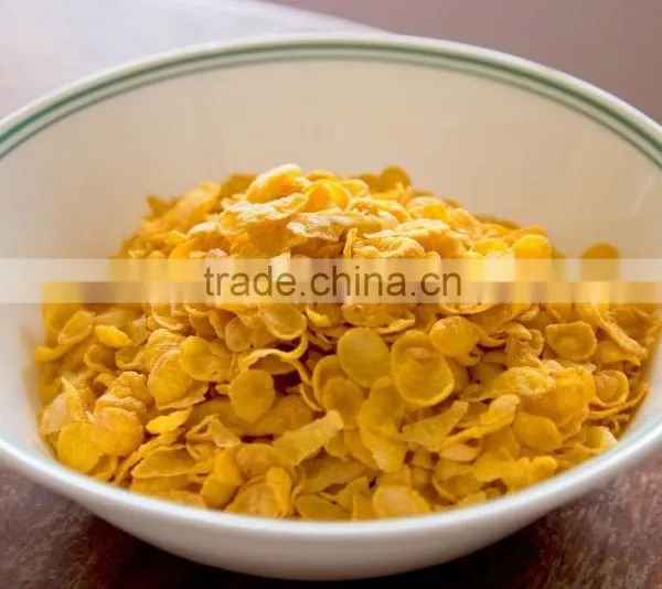 High Quality With CE Certificate Kelloggs Corn Flakes Machine Factory Price photo-6
