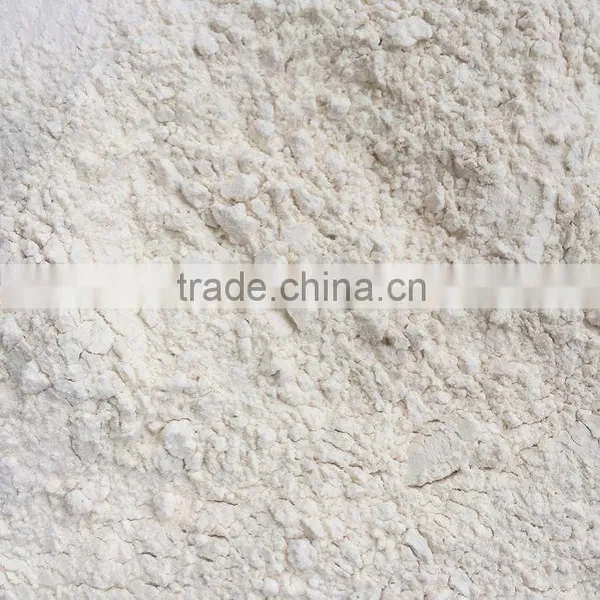 China Grade A Garlic Powder Natural White photo-2