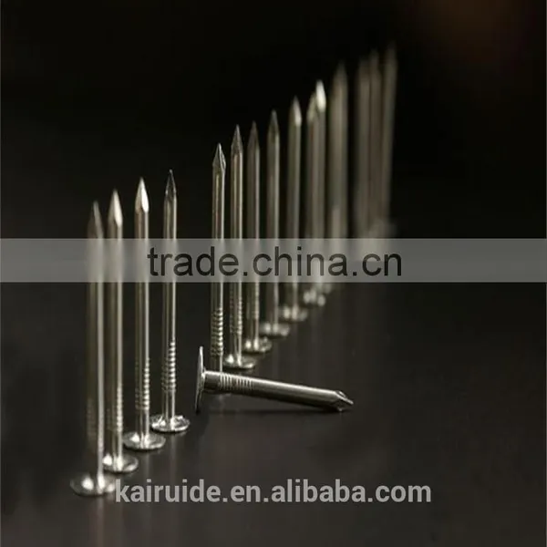 High Quality Common Iron Nail /common Iron Nail Factory/common Iron Nail photo-6